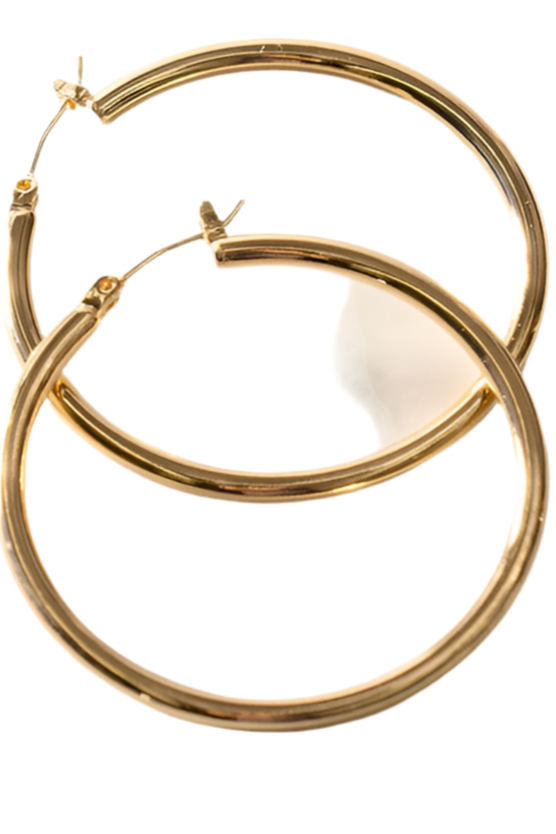 Tessa Hoop Earrings