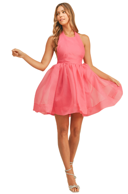 TuTu Halter Dress