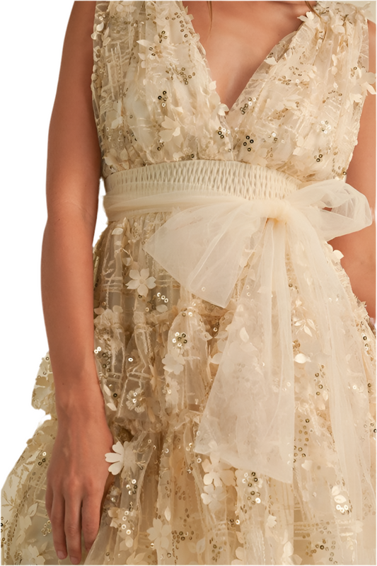 Tiana Sparkle Dress