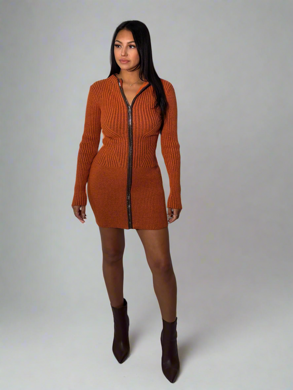 Ginger Sweater Dress