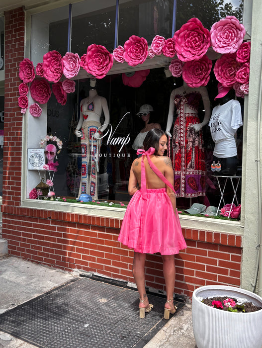 TuTu Halter Dress