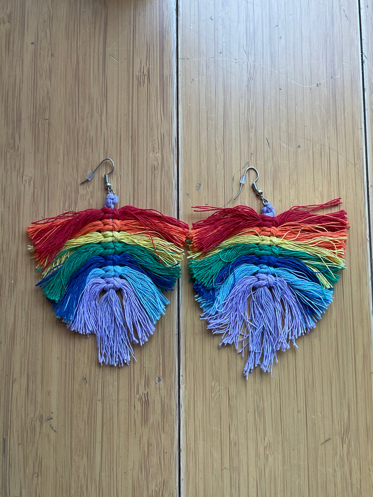 Rainbow Fringe Earrings