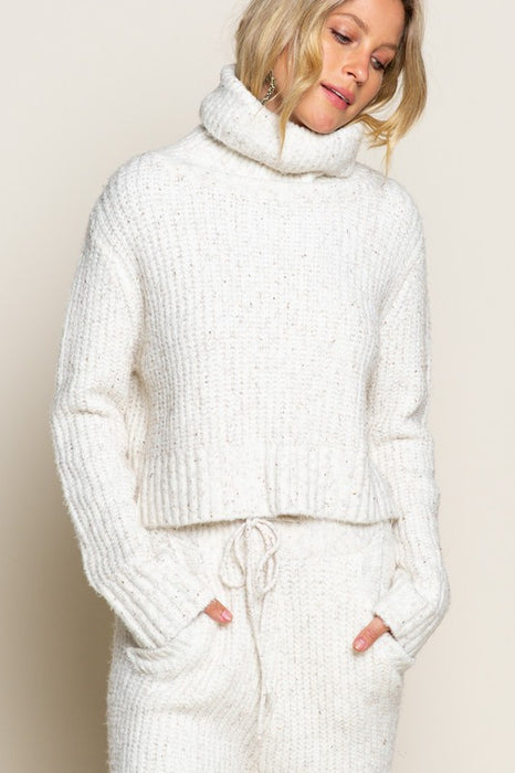 Arrin Crop Sweater